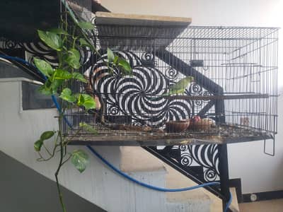 cage pinjara