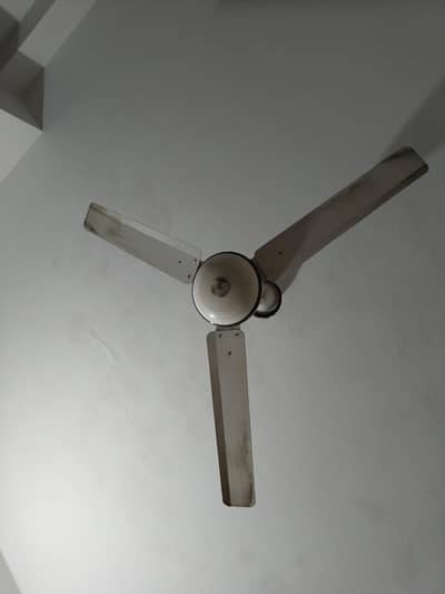 fan for sale
