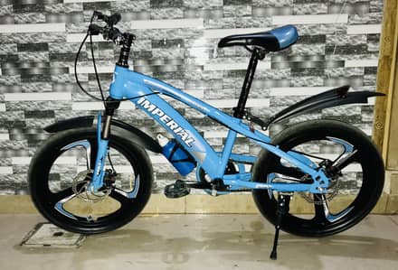 Bicycle