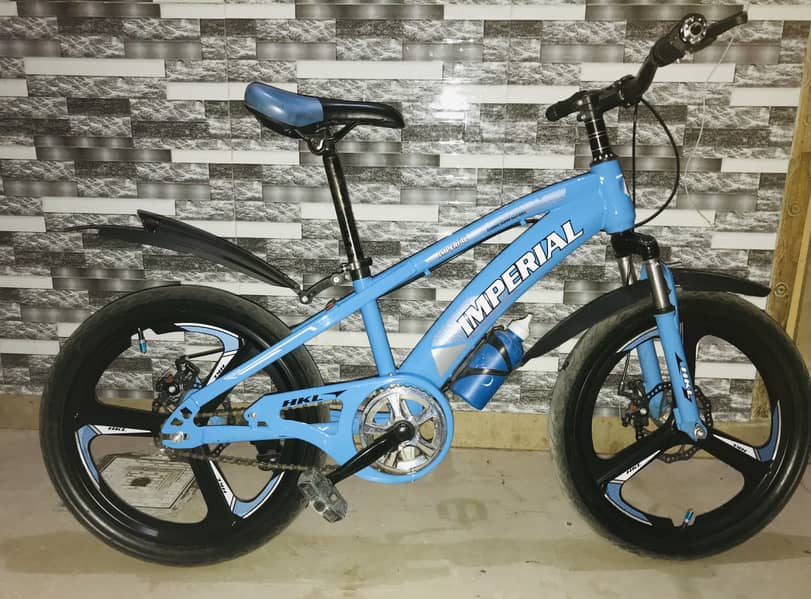 Bicycle 6