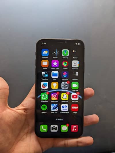 Apple iPhone X