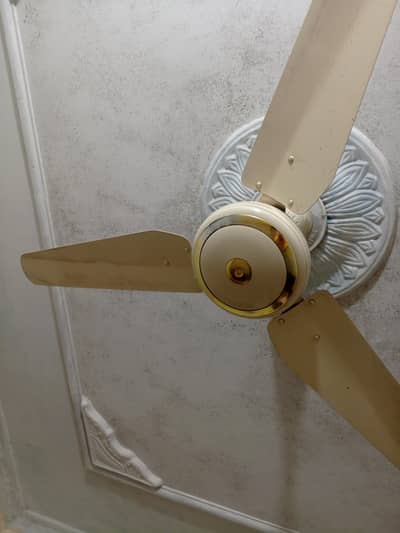 2 Ceiling Fans for Sale