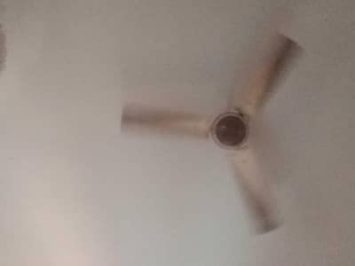 ceiling fan