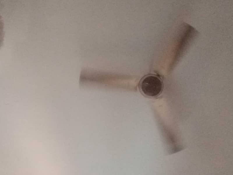 ceiling fan 0