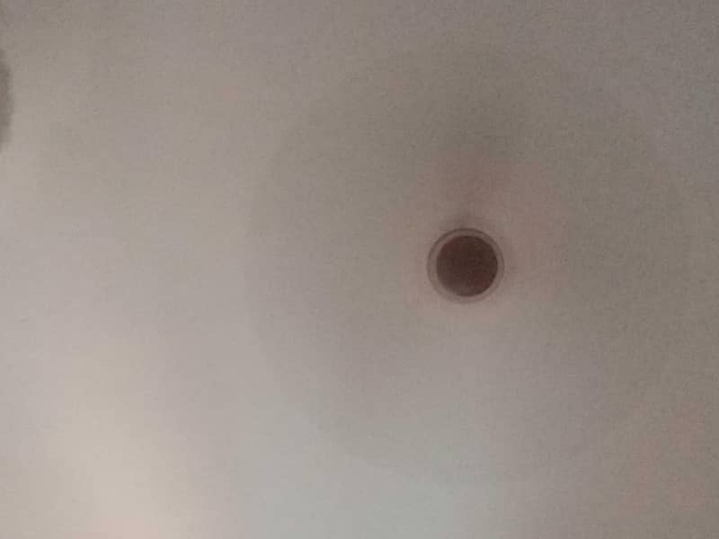 ceiling fan 2