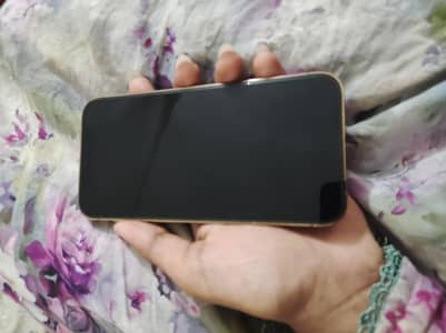 Apple iPhone 12 Pro