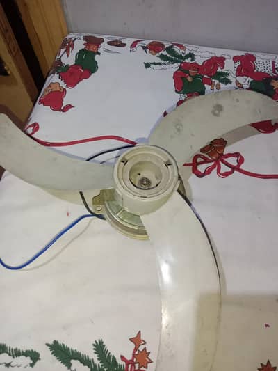 12 volt fan
