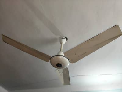 Roof fan Pak Fan company k For sale