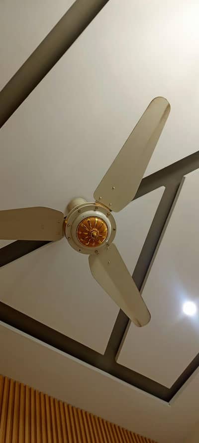ceiling Fans fo sale
