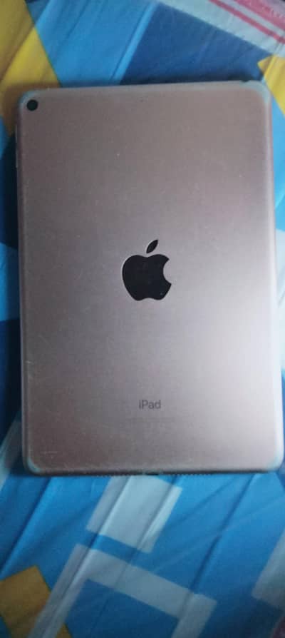 Ipad mini 5
