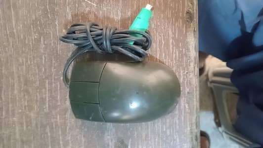 Acer mouse