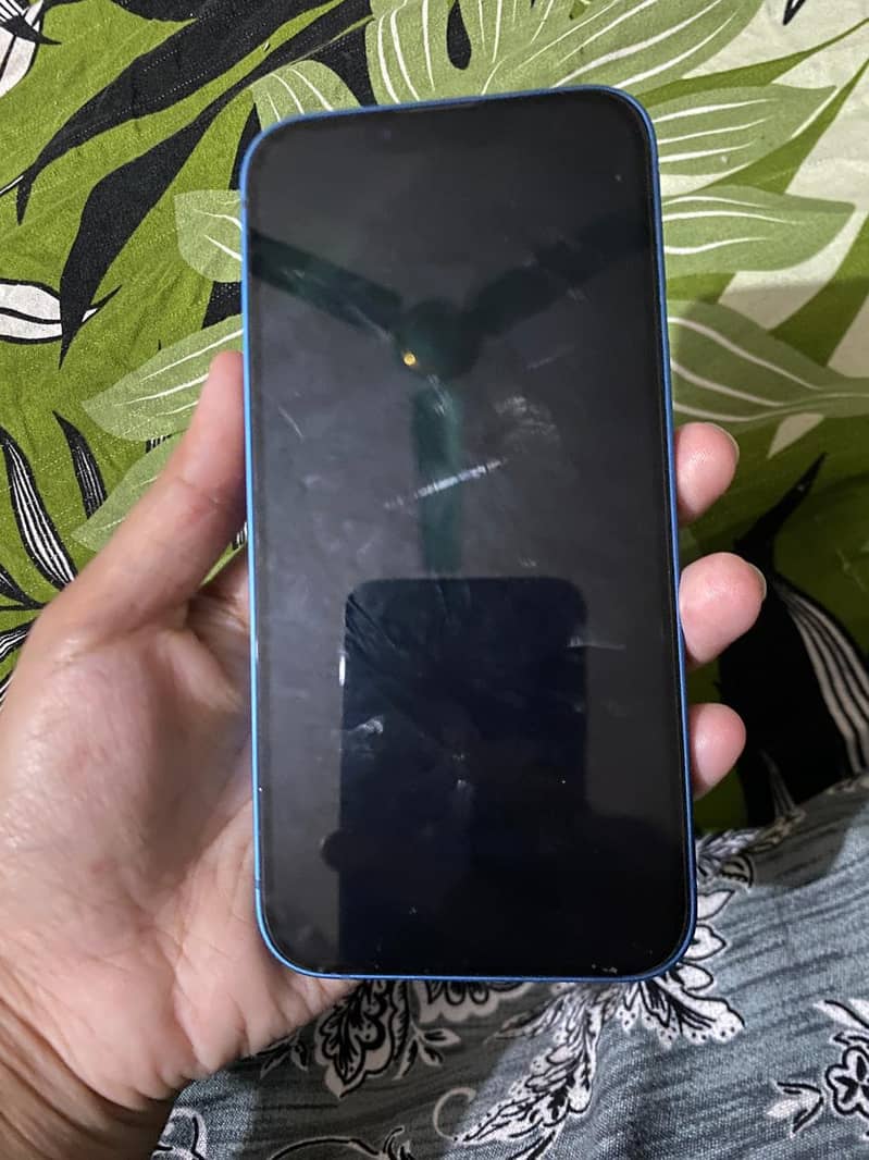 Apple iPhone 13 1