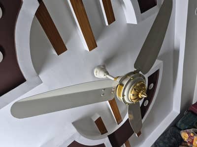 7 Royal Fans 56 inches excellent condition