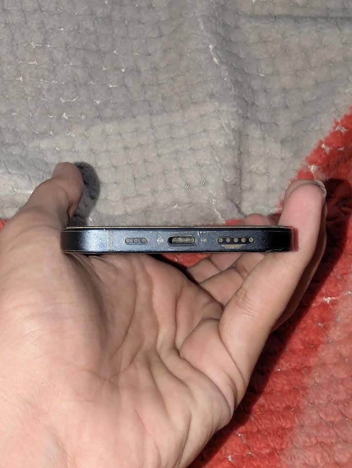Apple iPhone 12 1