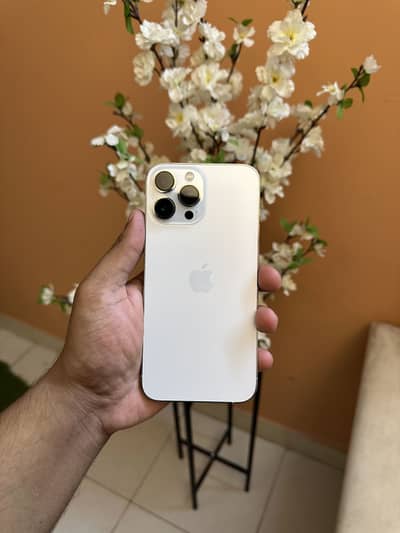 Apple iPhone 13 Pro Max 256GB