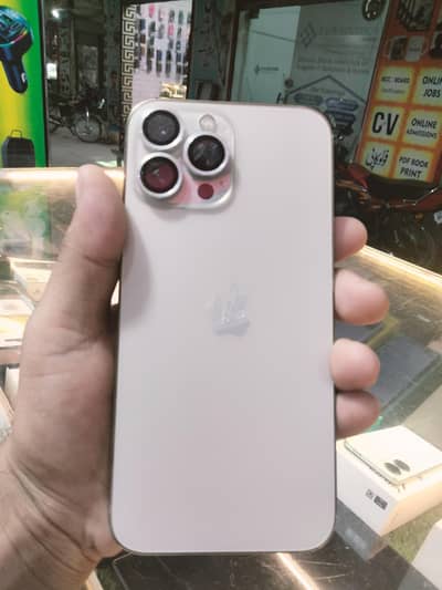 Apple iPhone 13 Pro Max