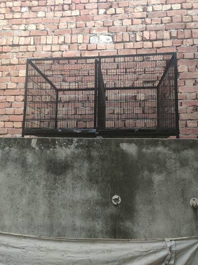 full angal cage double portion