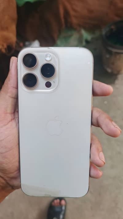 Apple iPhone 16 Pro Max