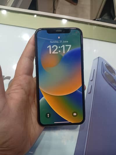 Apple iPhone X