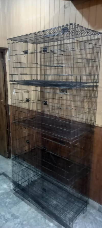 Raw parrots cage