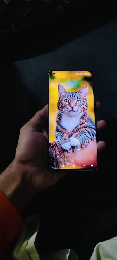 xiaomi 11 ultra