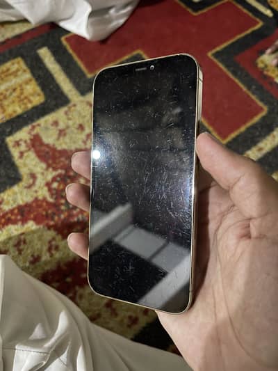 Apple iPhone 12 Pro