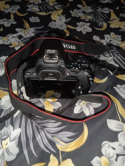 Conon 250D