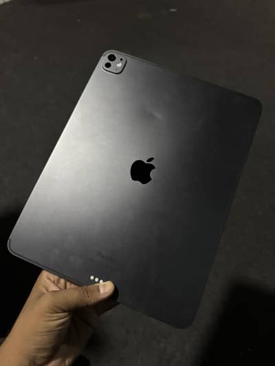 Ipad M4 Pro 13 inch panel damage