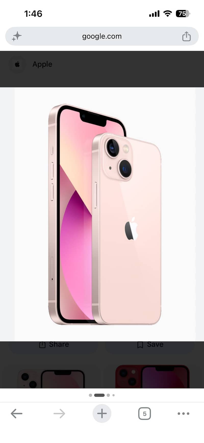 Apple iPhone 13 0