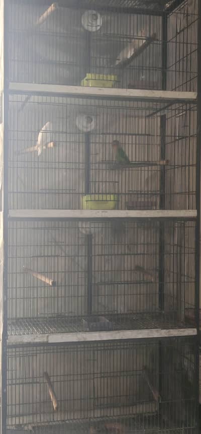 2.5 by 1.5 fix angel cage for sale