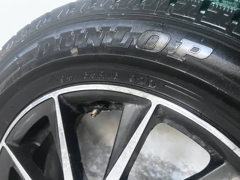 Dunlop 6
