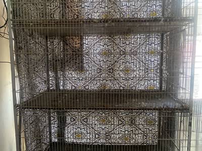 Cage bird