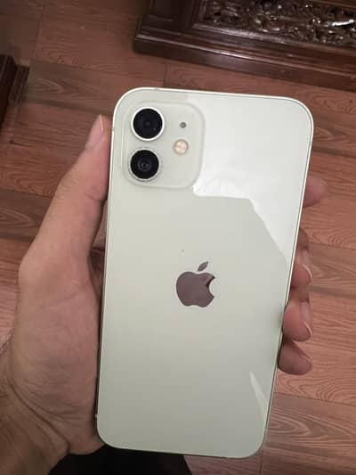 Apple iPhone 12 officially pta approved dual sim