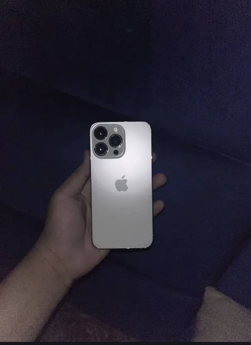 Apple iPhone 13 0