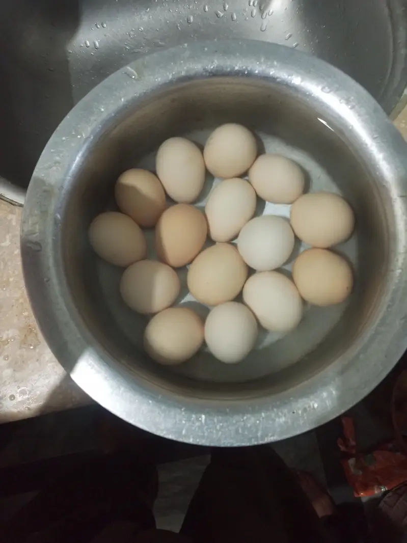 Ghar ki Khalis desi murgi ke andy dastyab Hain — photo 2