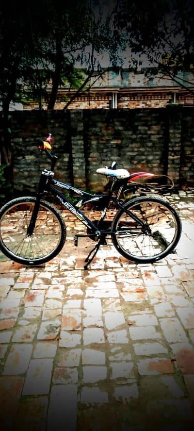 cycle bhtrern condition