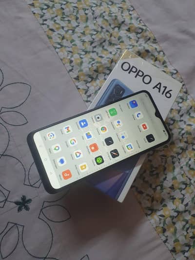 OPPO A16