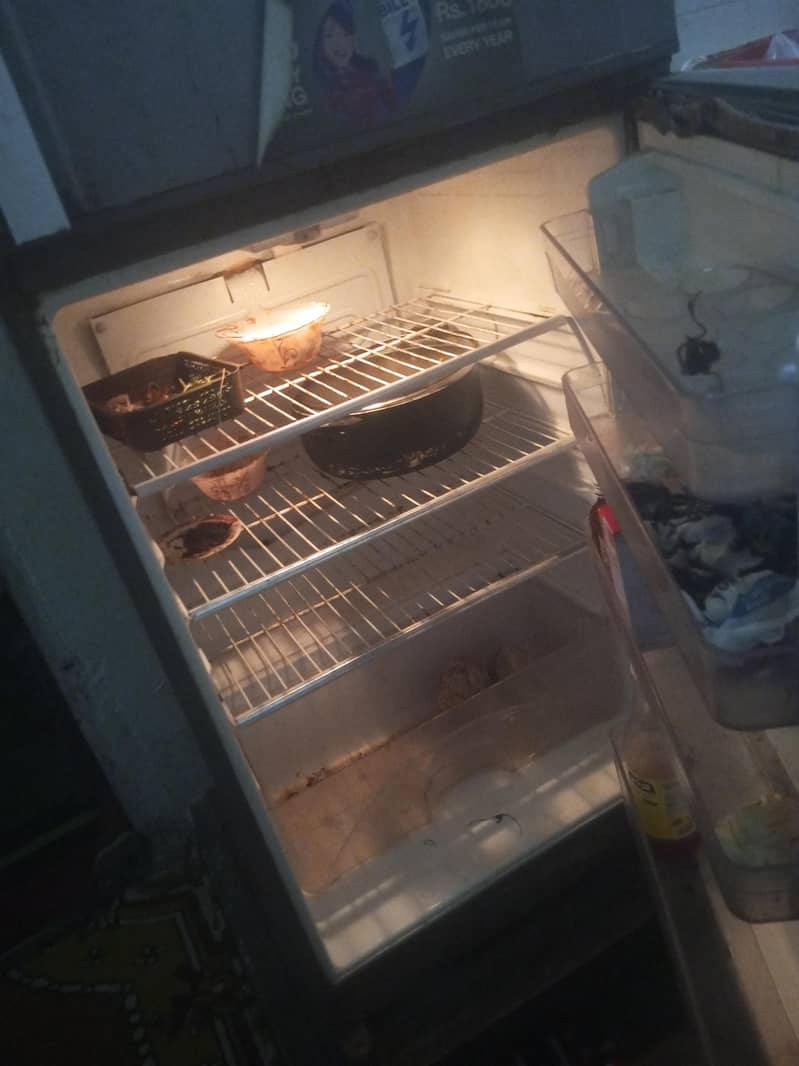 Dowlance medium frige 0