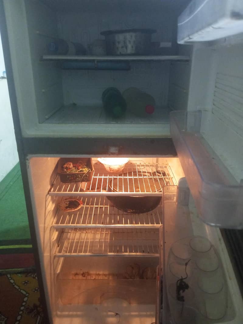 Dowlance medium frige 2