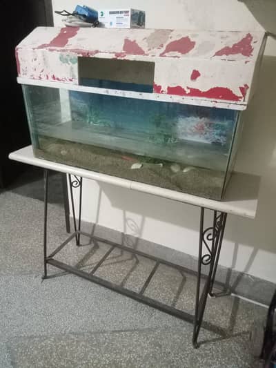 Fish Equrim