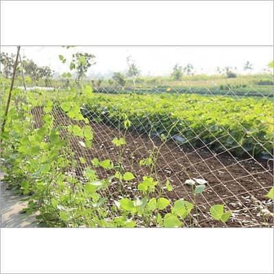 vegetables Crop Net (8x220ft & 22x220ft)Plants & Vegetables