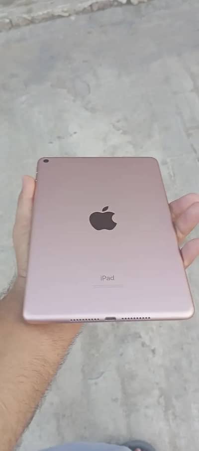 ipad mini 4