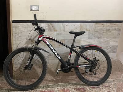 Phoenix Mountain Bike for Sale – Dual Disc Brakes & Front Suspension