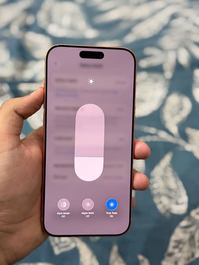17 pro max JV 256gb 10by10