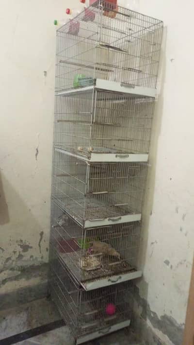 cage for sale . . . . . .