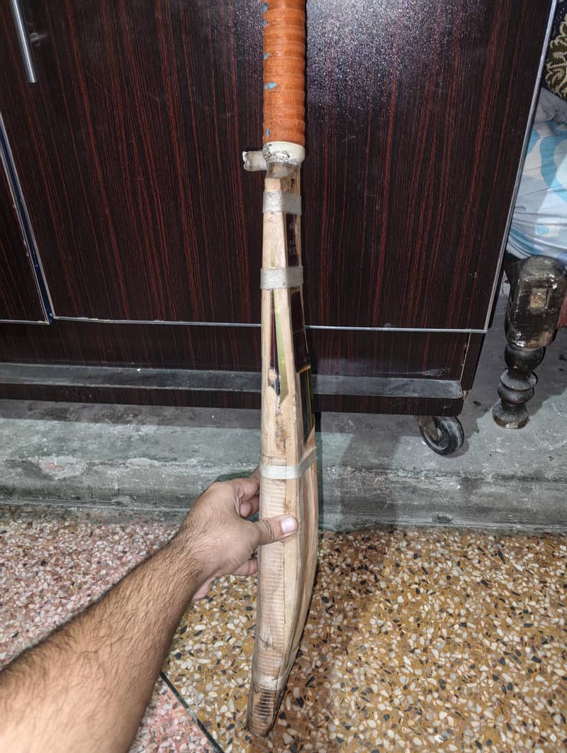 cricket bat 1