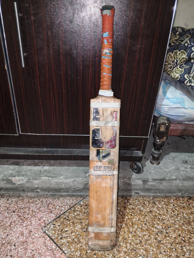 cricket bat 2