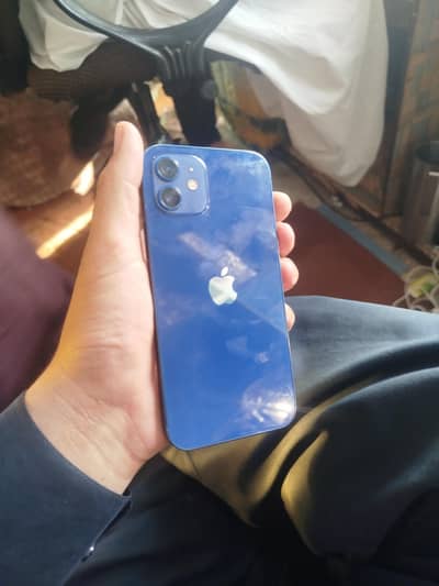 Apple iPhone 12