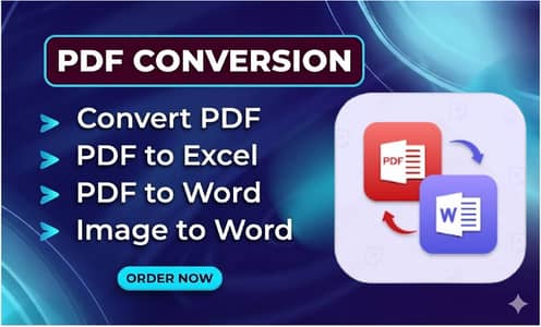 Professional PDF to Word and Excel Conversion Services