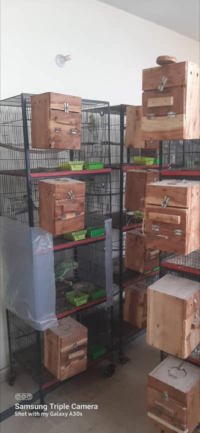 cages